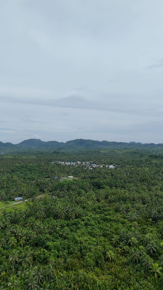 Coconut Plantation View Point en Siargao