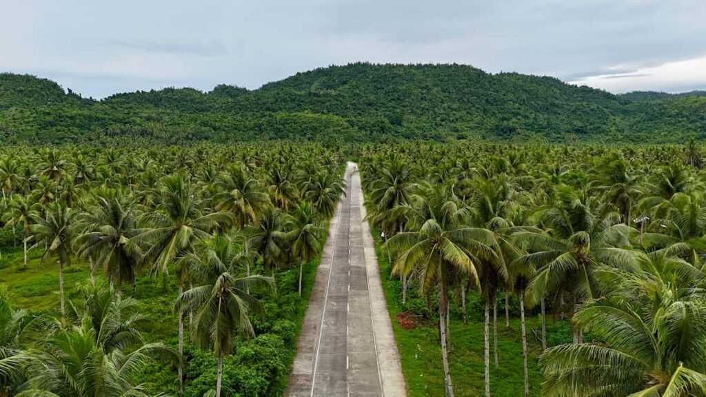 Vistas increíbles de la carretera de las palmeras en Siargao, Filipinas