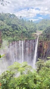 Las maravillas de la naturaleza
