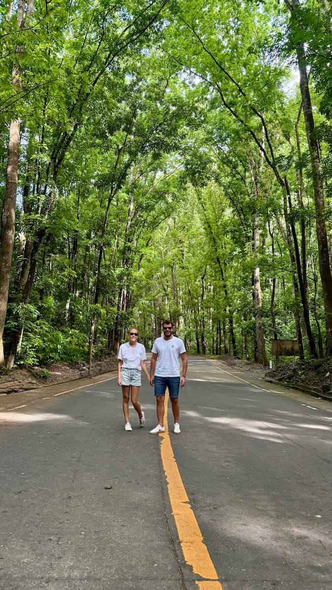 Paseo por el man made forest, Bohol Paseo por el man made forest, Bohol