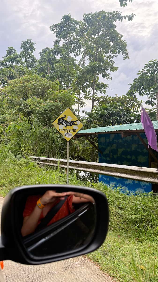 Peligro cocodrilos Señal de advertencia de cocodrilos en Siargao, Filipinas