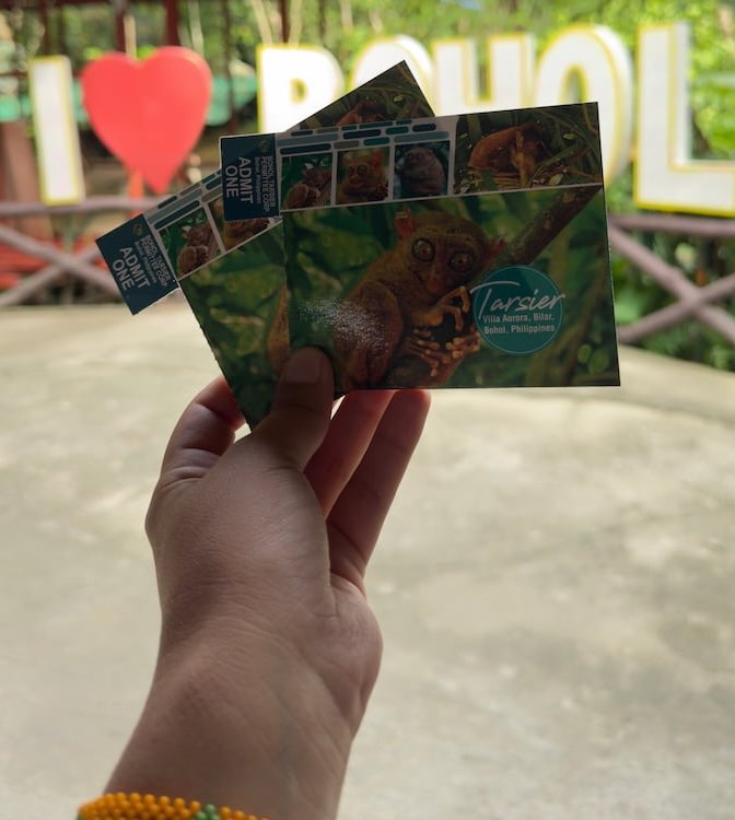 Santuario tarsier en Bohol Santuario tarsier en Bohol