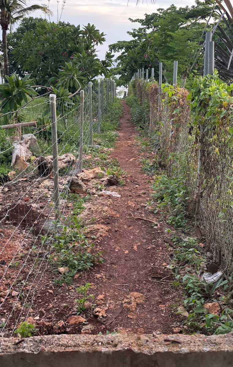 Acceso a Tubod Acceso alternativo a Tubod Beach