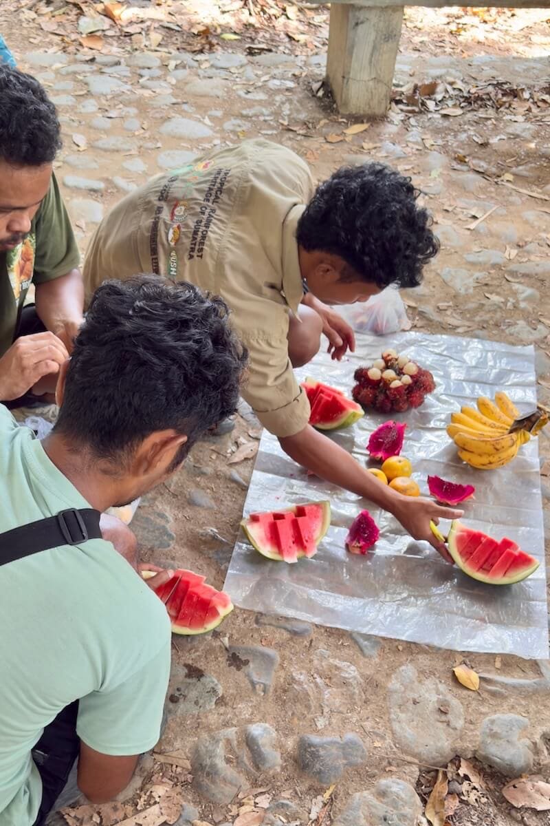Almuerzo en la jungla de Sumatra