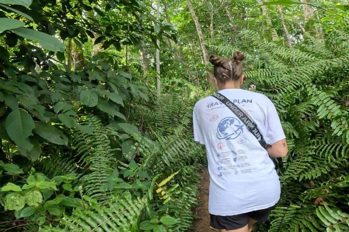 Caminando por la selva de Sumatra