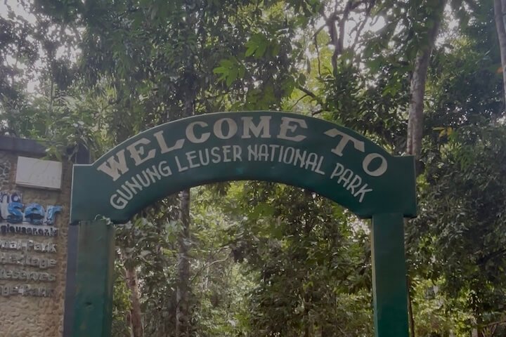 Entrada al parque nacional Gunung Leuser