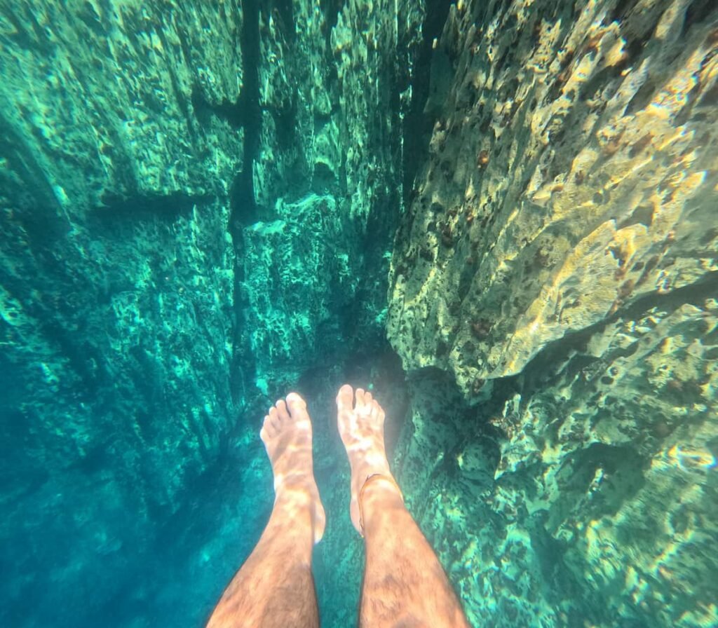 El fondo de Barracuda Lake Corón