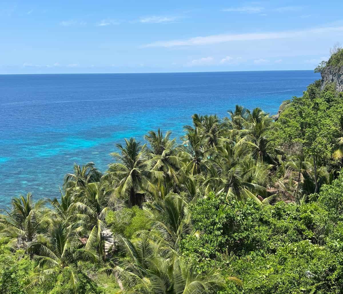 Monkey beach Monkey beach en Siquijor