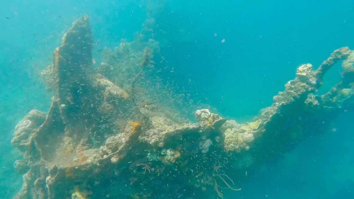 Skeleton Wreck Skeleton Wreck en Corón
