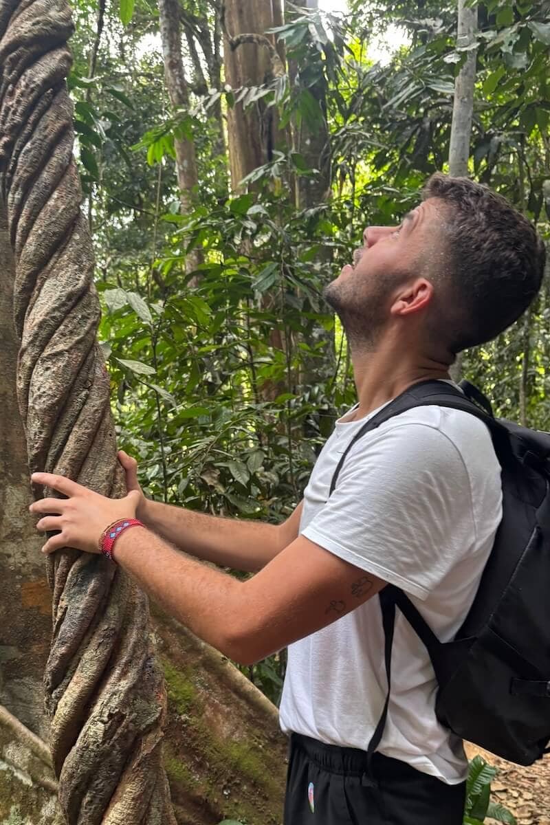 Un liana de verdad en Sumatra