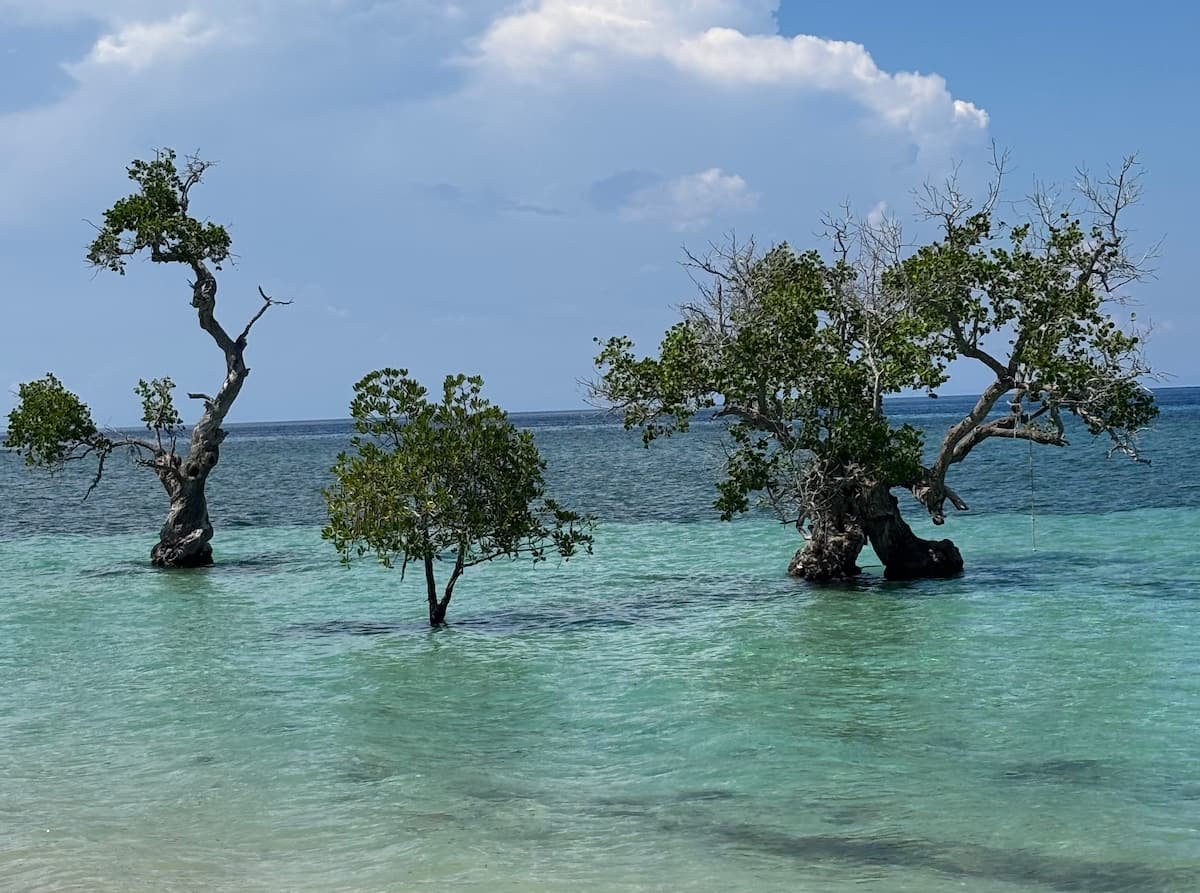 Vistas en el norte Norte de Siquijor