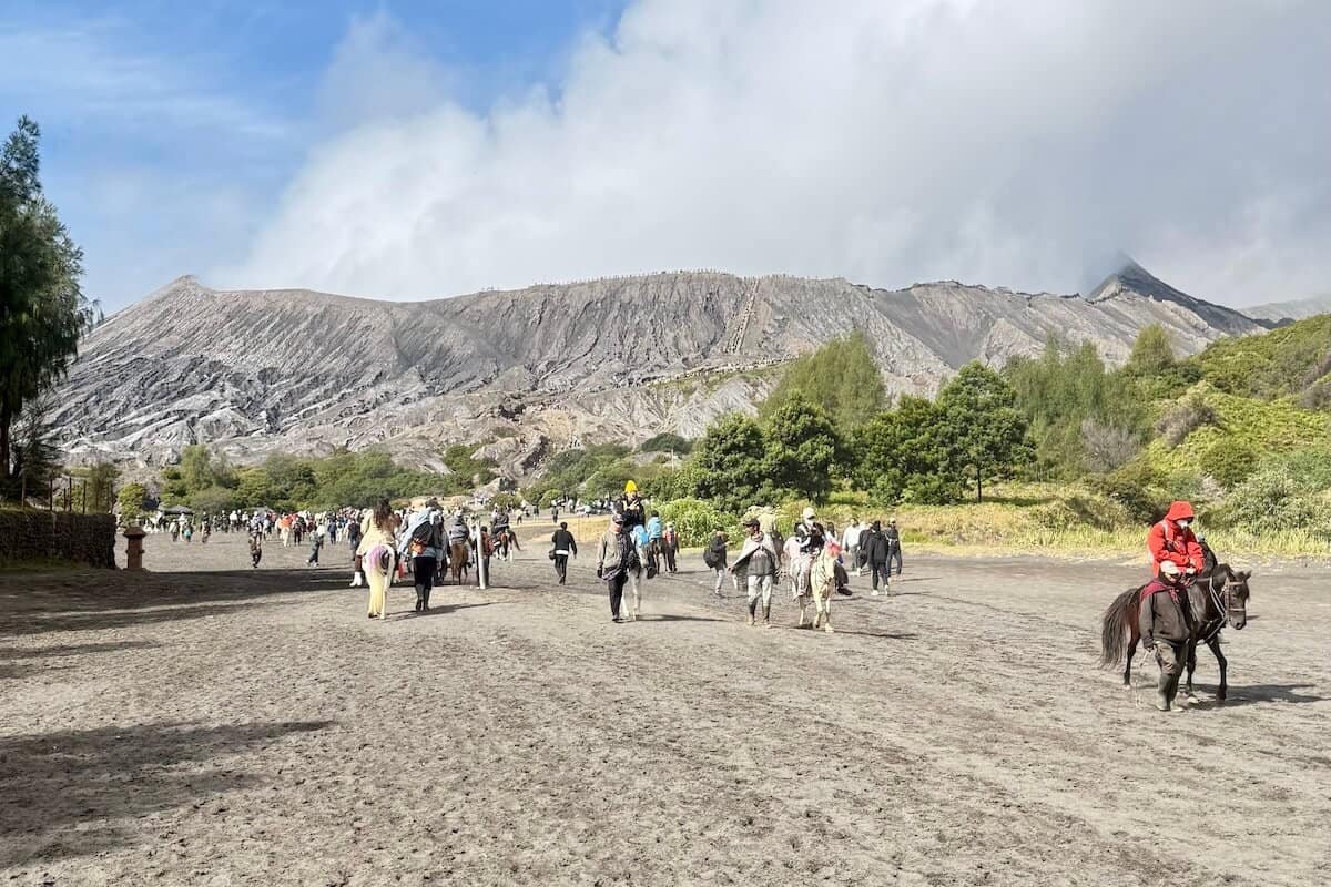 Caballos para llegar al Bromo