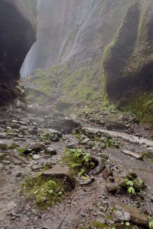 Camino a las cascadas
