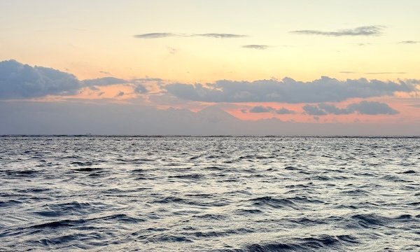 Encuentra vuelos baratos