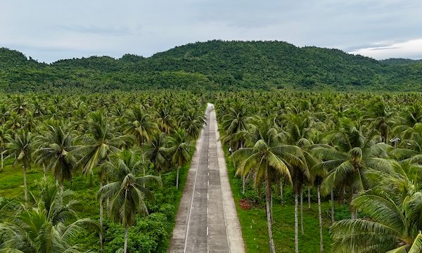 Encuentra vuelos baratos