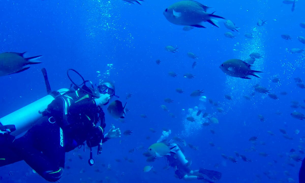 Cuando buceas en el paraíso