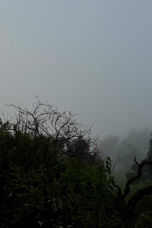 La niembla en el Bromo