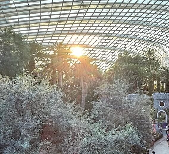 Flores de todo el mundo en el Flower Dome