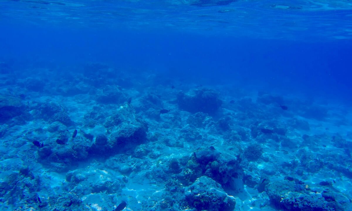 Fondo marino en Gili T