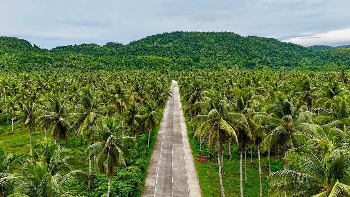 Elige un buen seguro