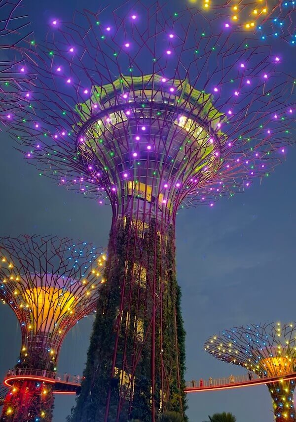 Anocheciendo mientras sube el volumen y las luces del Garden Rhapsody