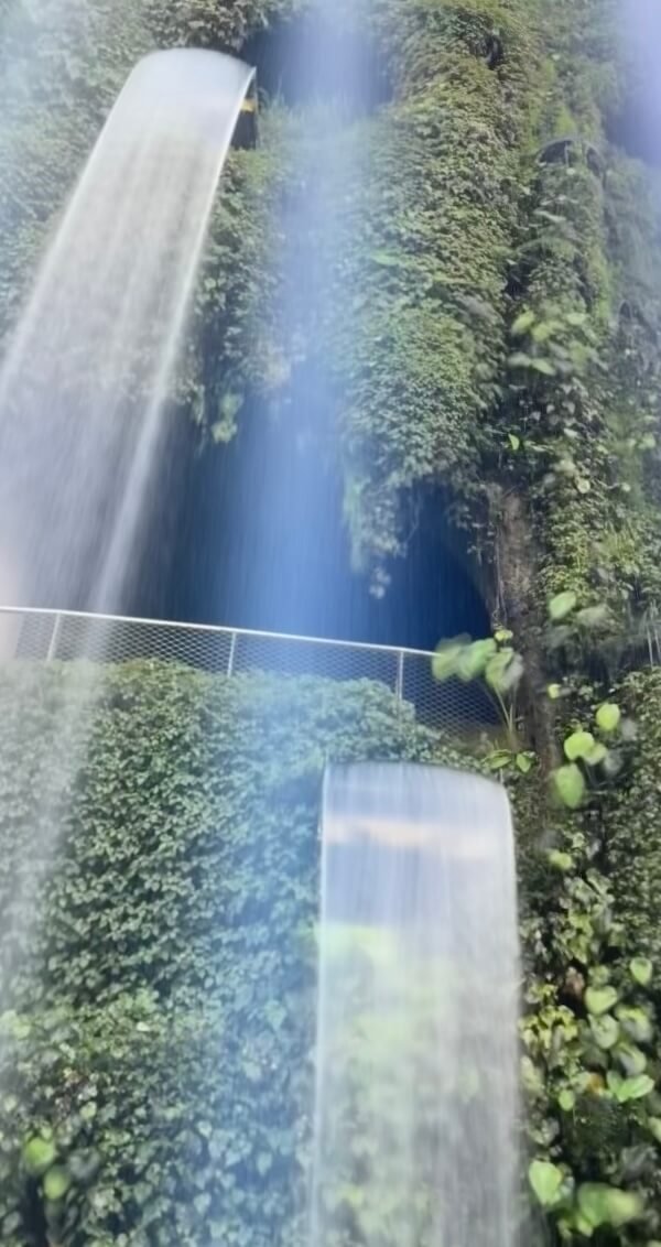 Cascadas dentro del Cloud Forest