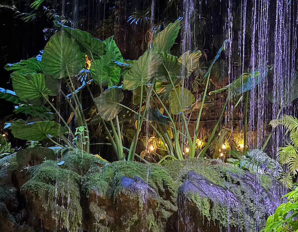 Más cascadas y vegetación imposible