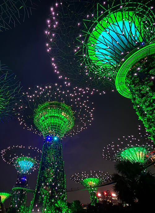 El color verde contrasta con el cielo negro de la noche