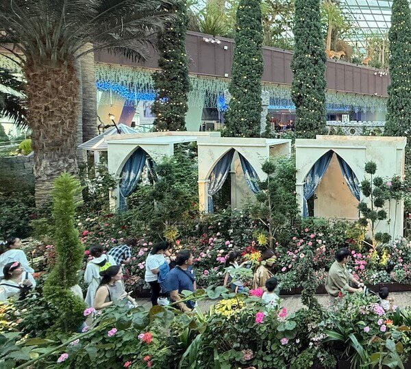 Flores de todos los climas