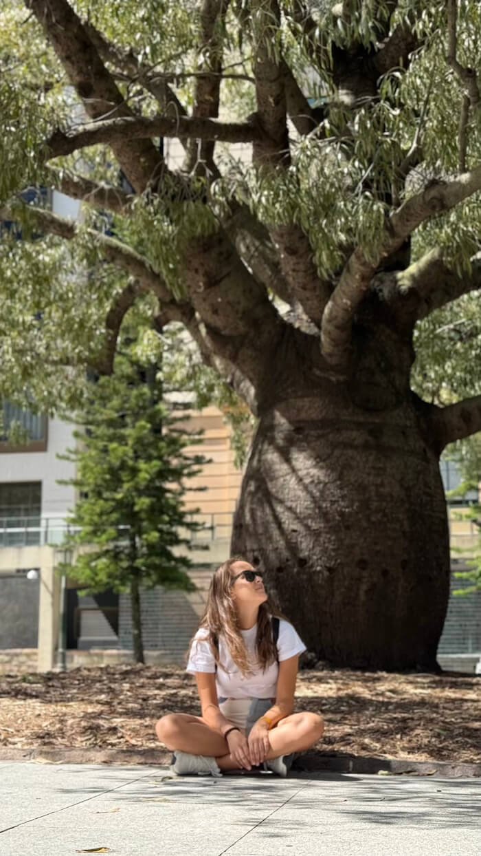 A la sombra de un baobab Baobab australiano en ANZAC Square