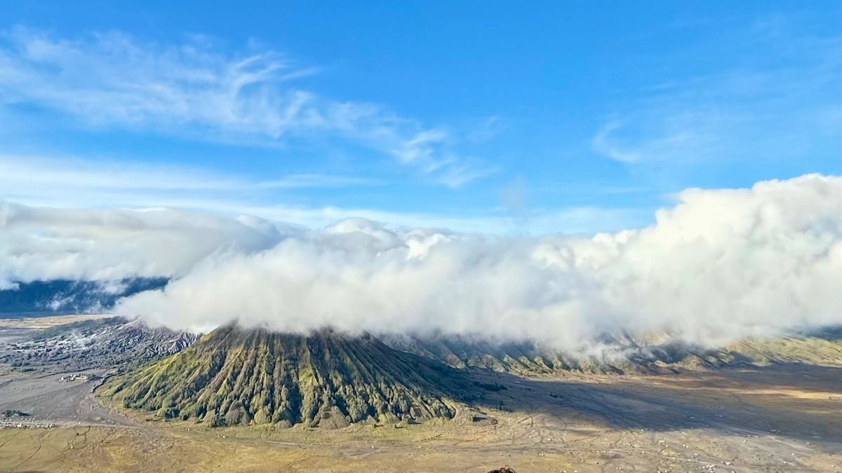 Elige un buen seguro