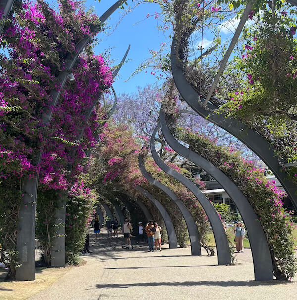 The Arbour Walkway con flores The Arbour Walkway en Brisbane