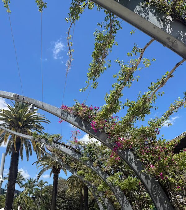 The Arbour Walkway sin flores The Arbour Walkway en Brisbane