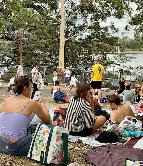 A la llegada de nuestro sitio elegido