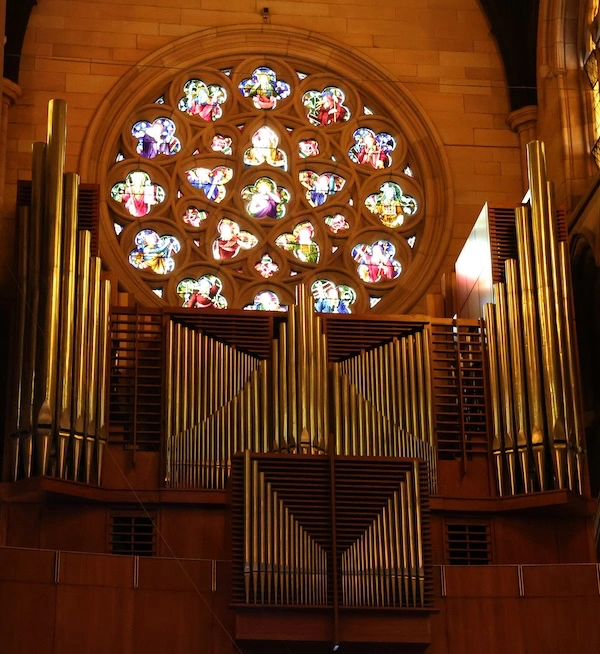 El que fuera el órgano más grande del planeta