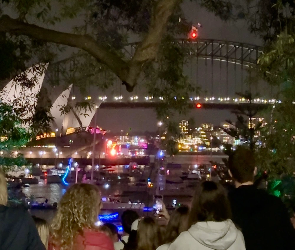 Esperas que no entendíamos