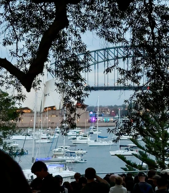 Esto veíamos desde nuestro asiento