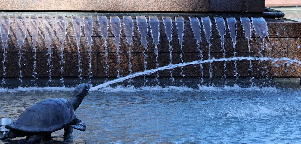 Una fuente con todos los detalles