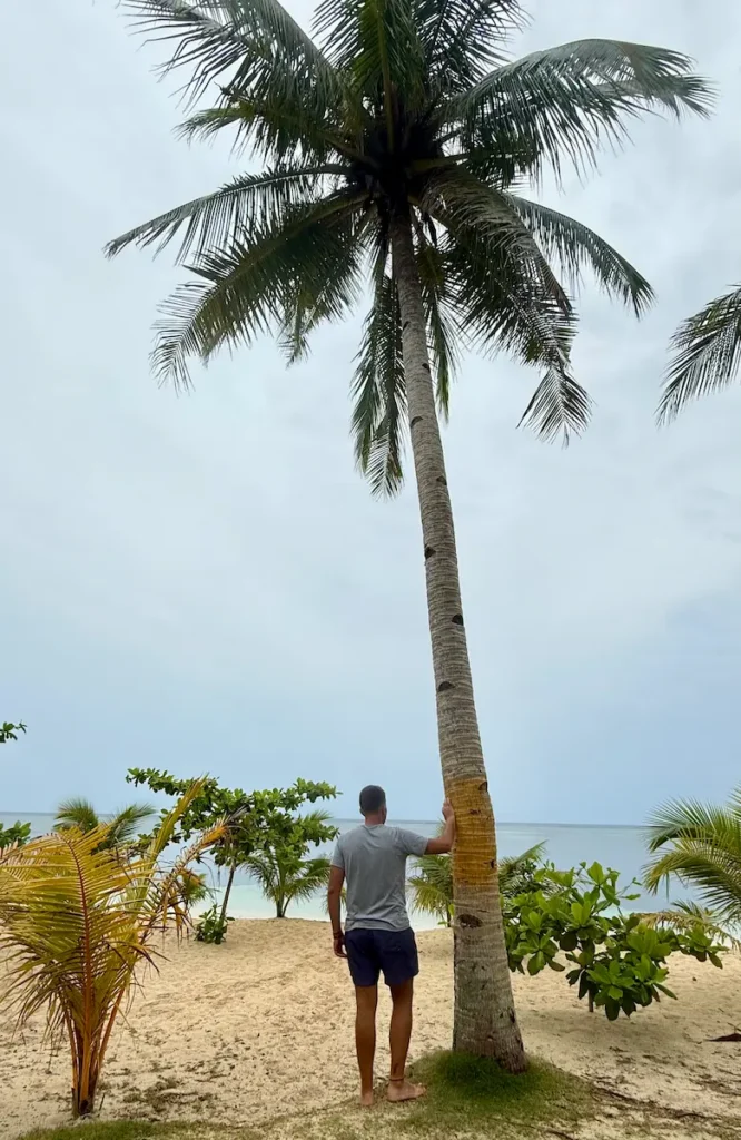 Vista del océano Pacífico con una palmera