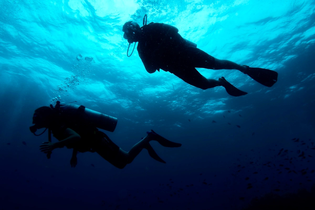 Buscando a nemo en el Golfo de Tailandia
