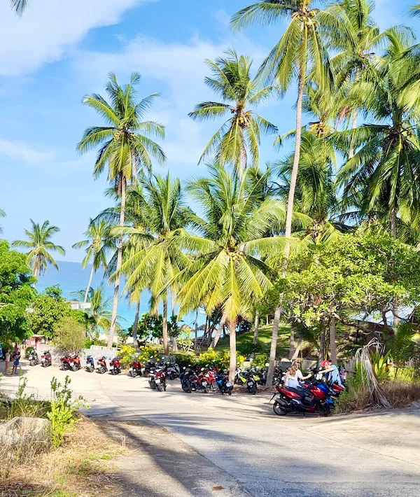Las vistas desde la parte trasera de la camioneta en Koh Tao