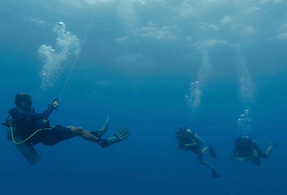 Ion guiándonos por el azul del mar